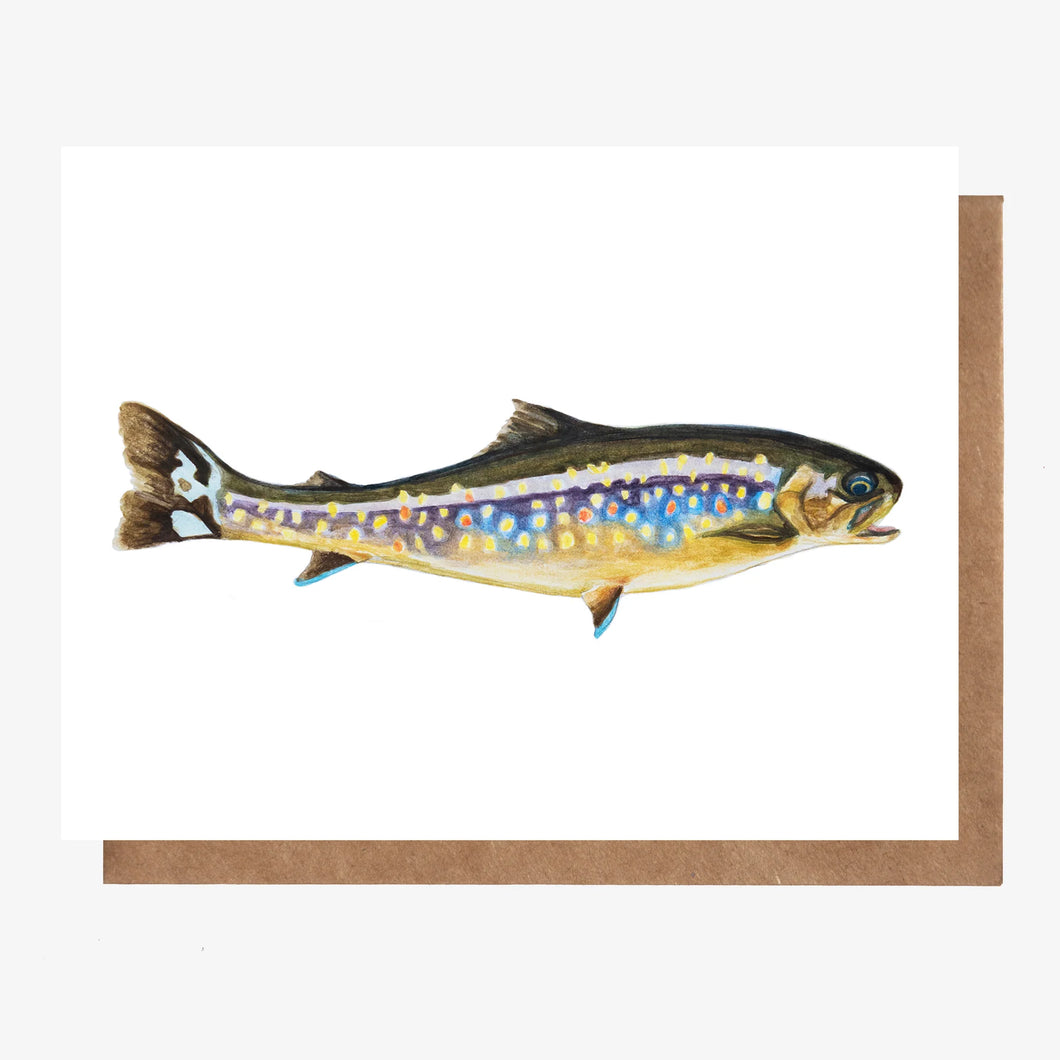 Brook Trout